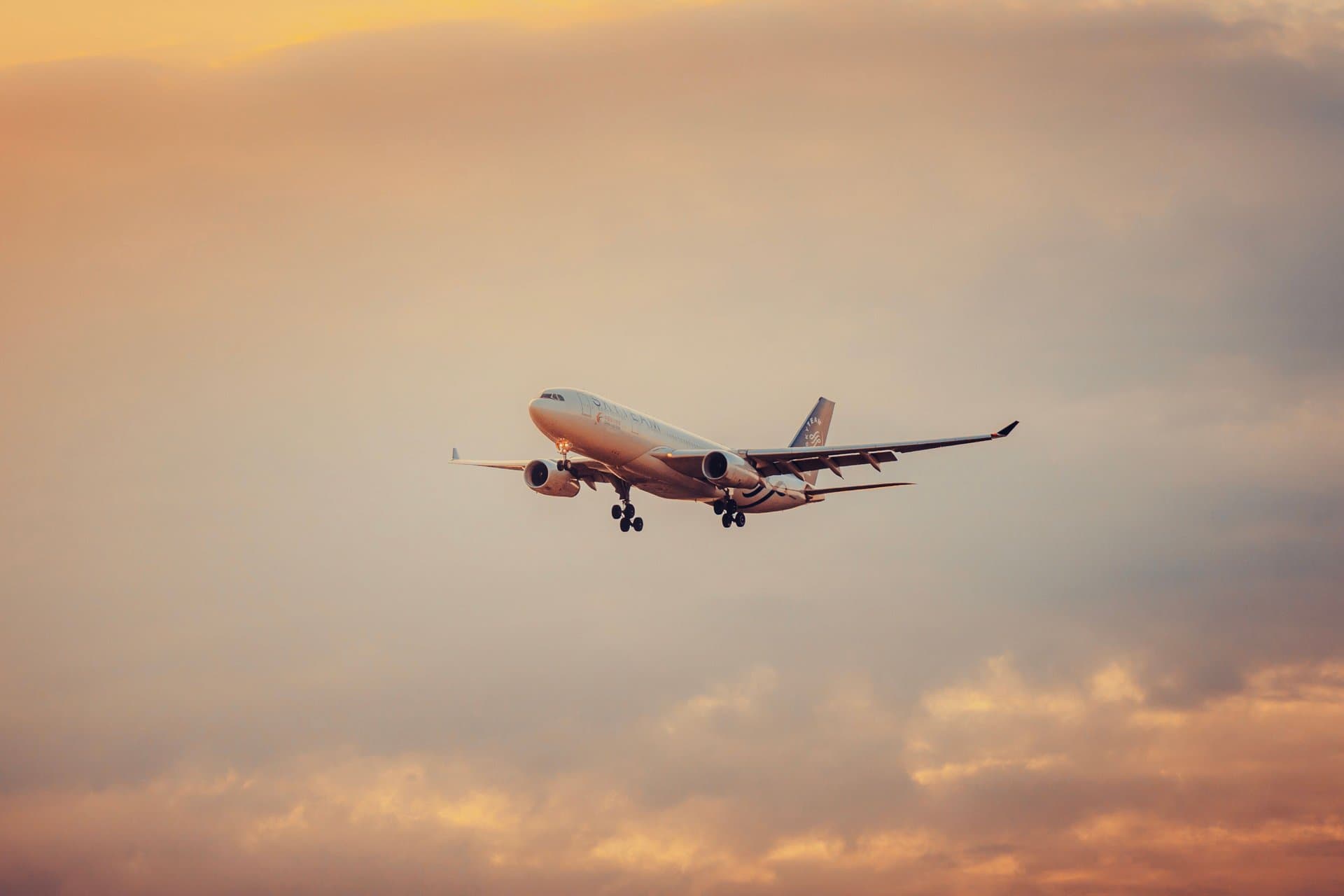 Fly to their Happy Ever After