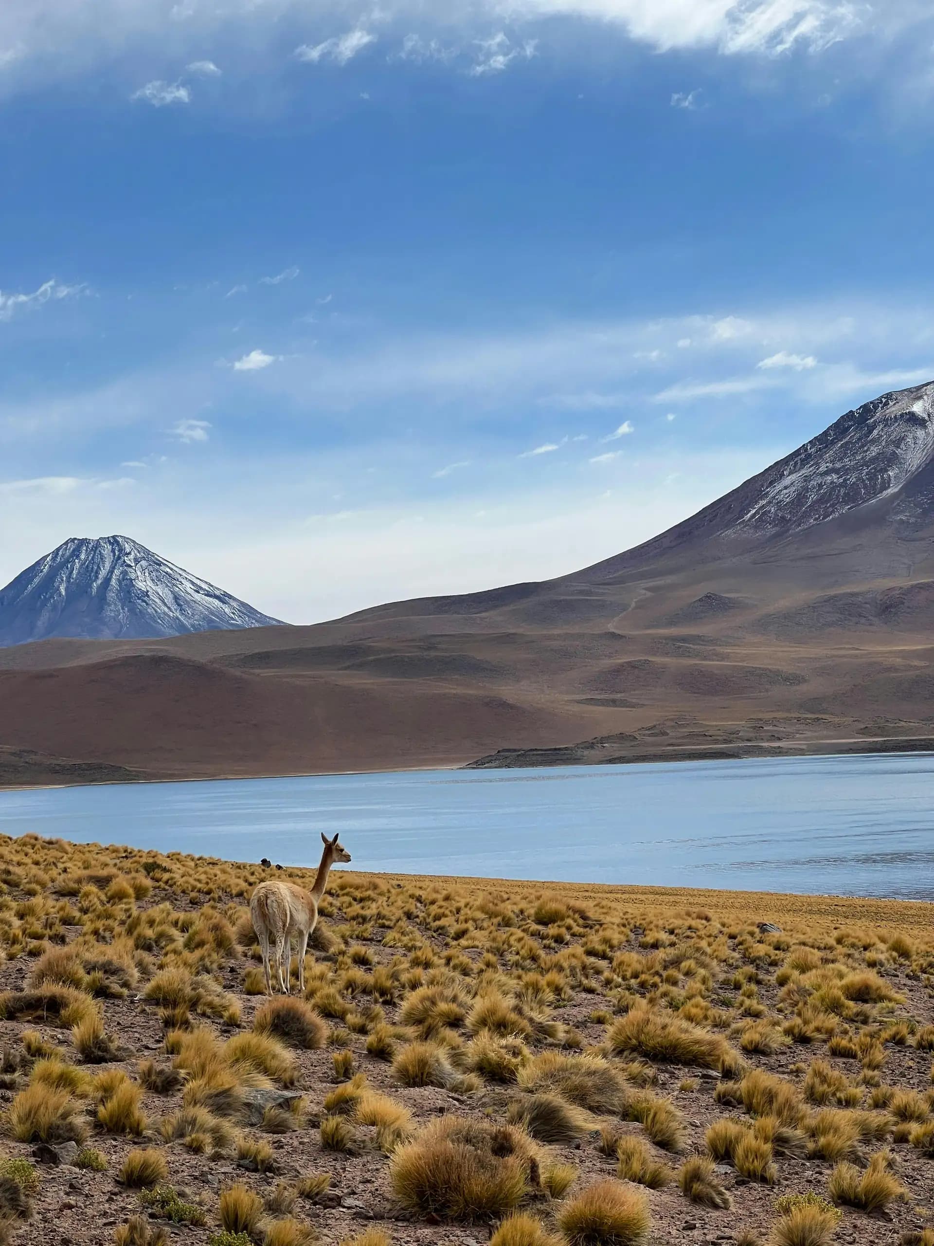 Atacama Desert