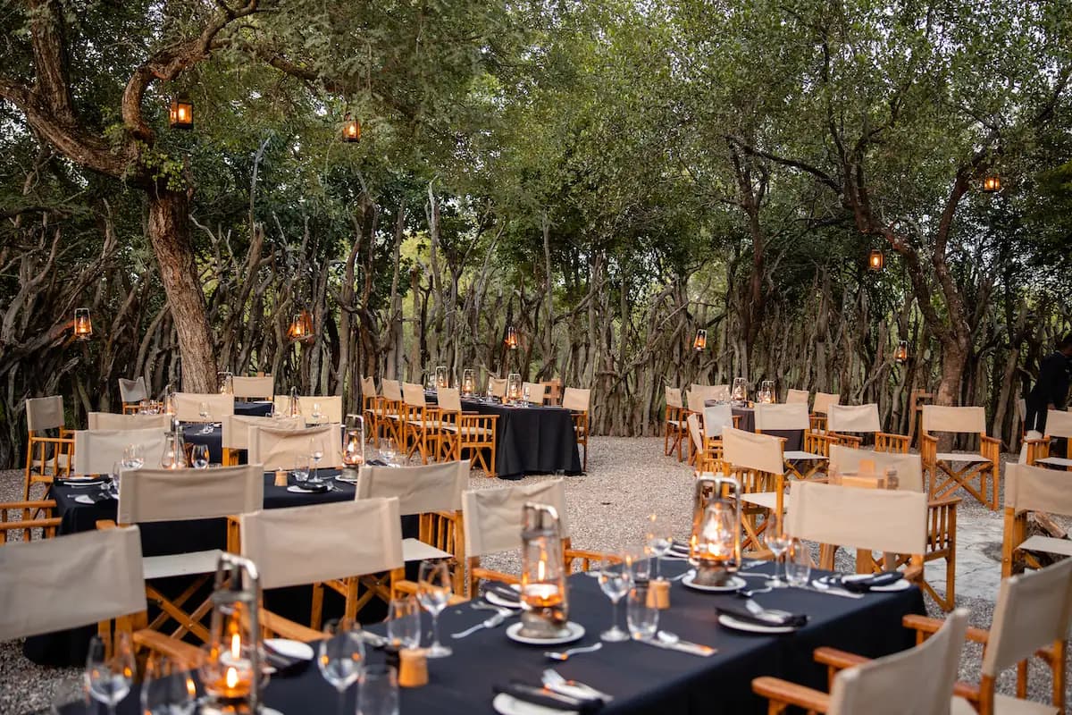 Kapama: Table setting in the bush at dusk