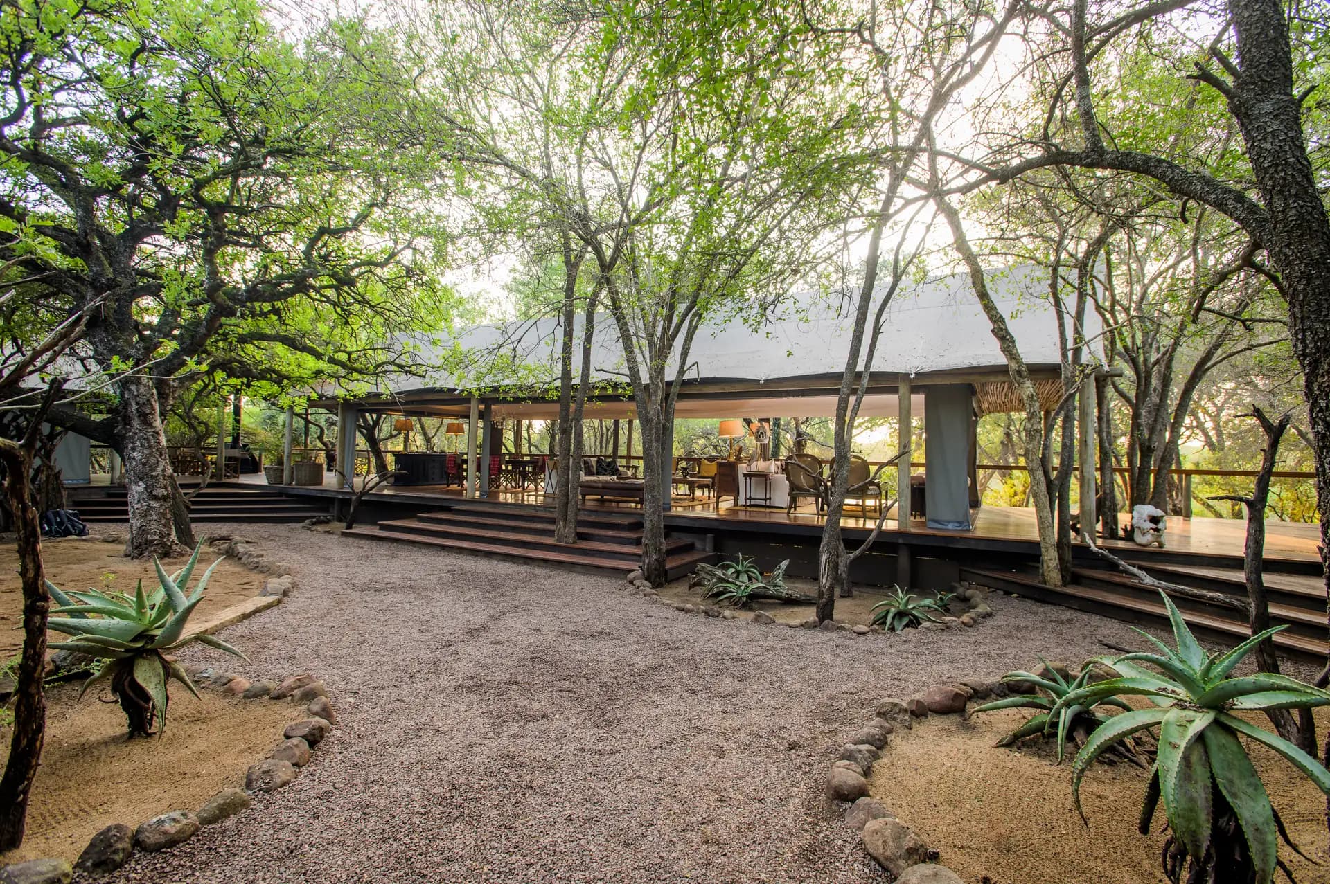 Rhino Sands: Pathway to the lodge