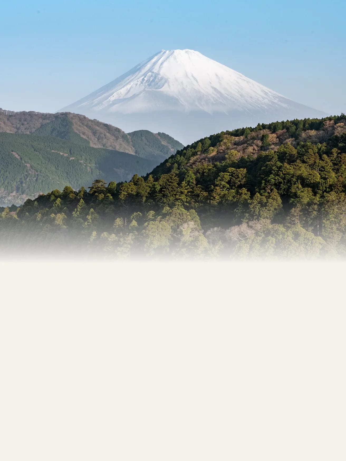 Snow-capped Mount Fuji above the forests of Hakone