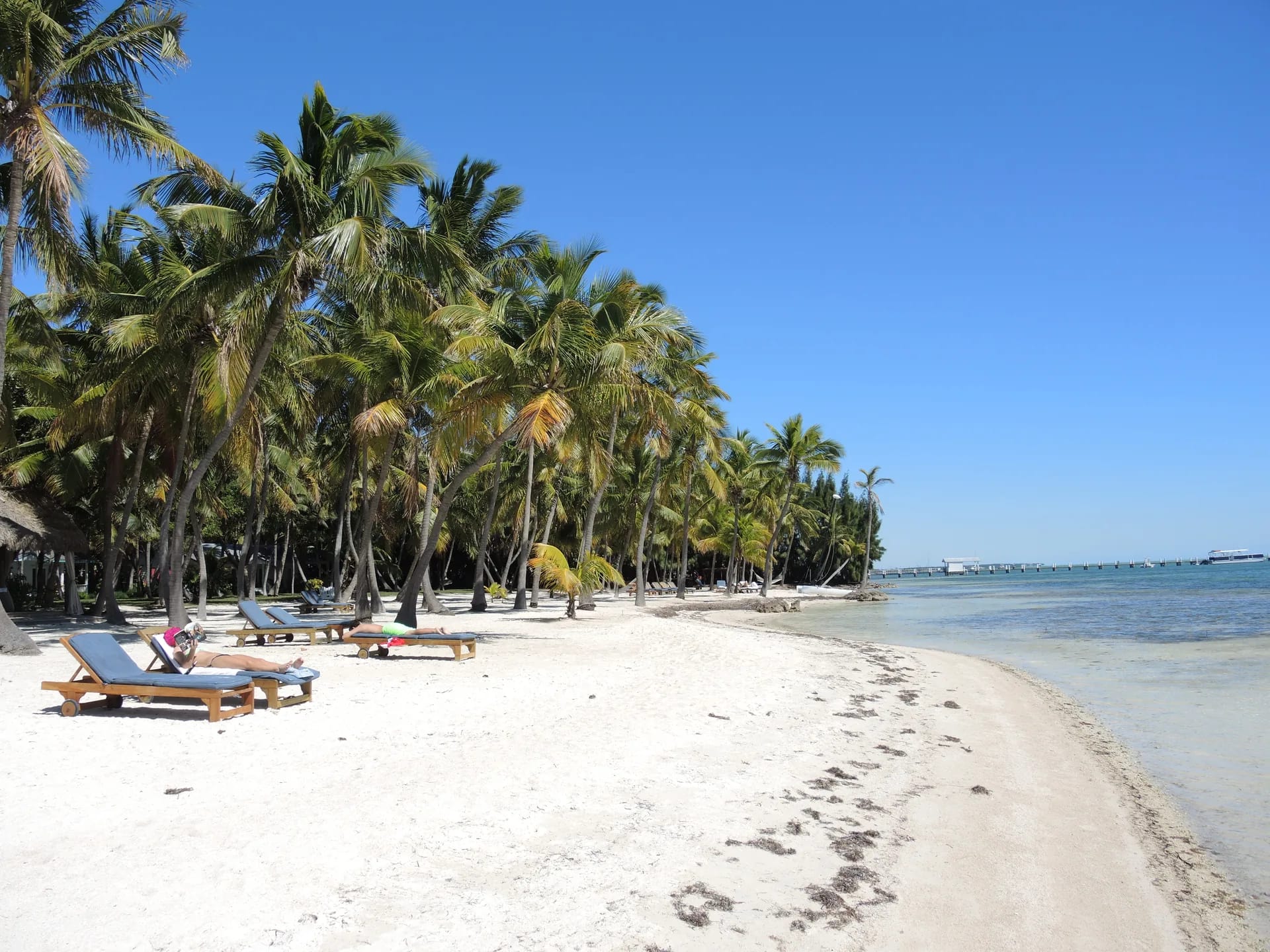 Palmenstrand mit Liegen auf Islamorada