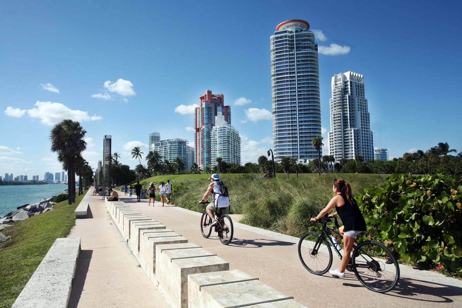 Ciclistas en el paseo marítimo de South Beach bajo las palmeras