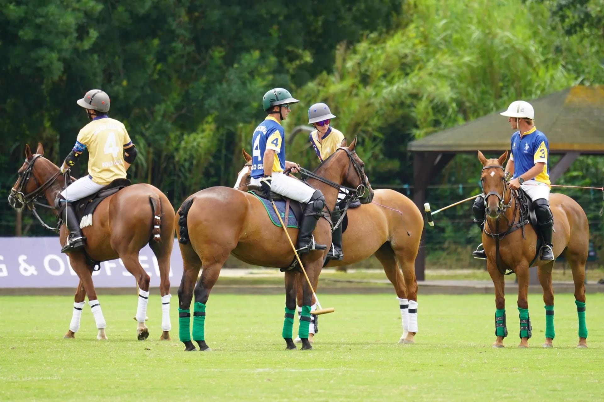 Polo players on horseback on the field