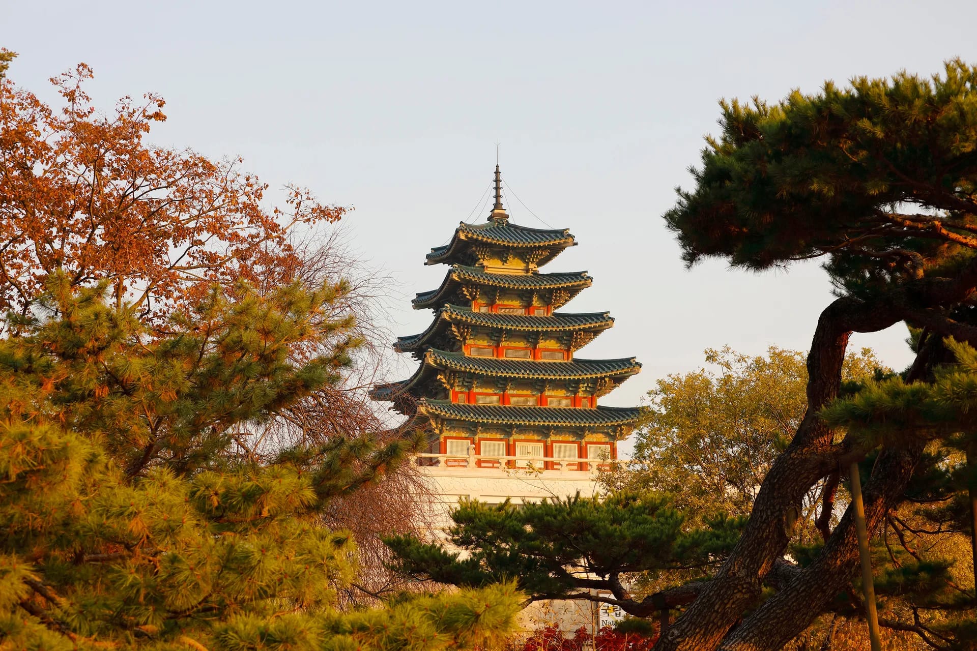 The pagoda of the National Folk Museum between pines and autumn leaves