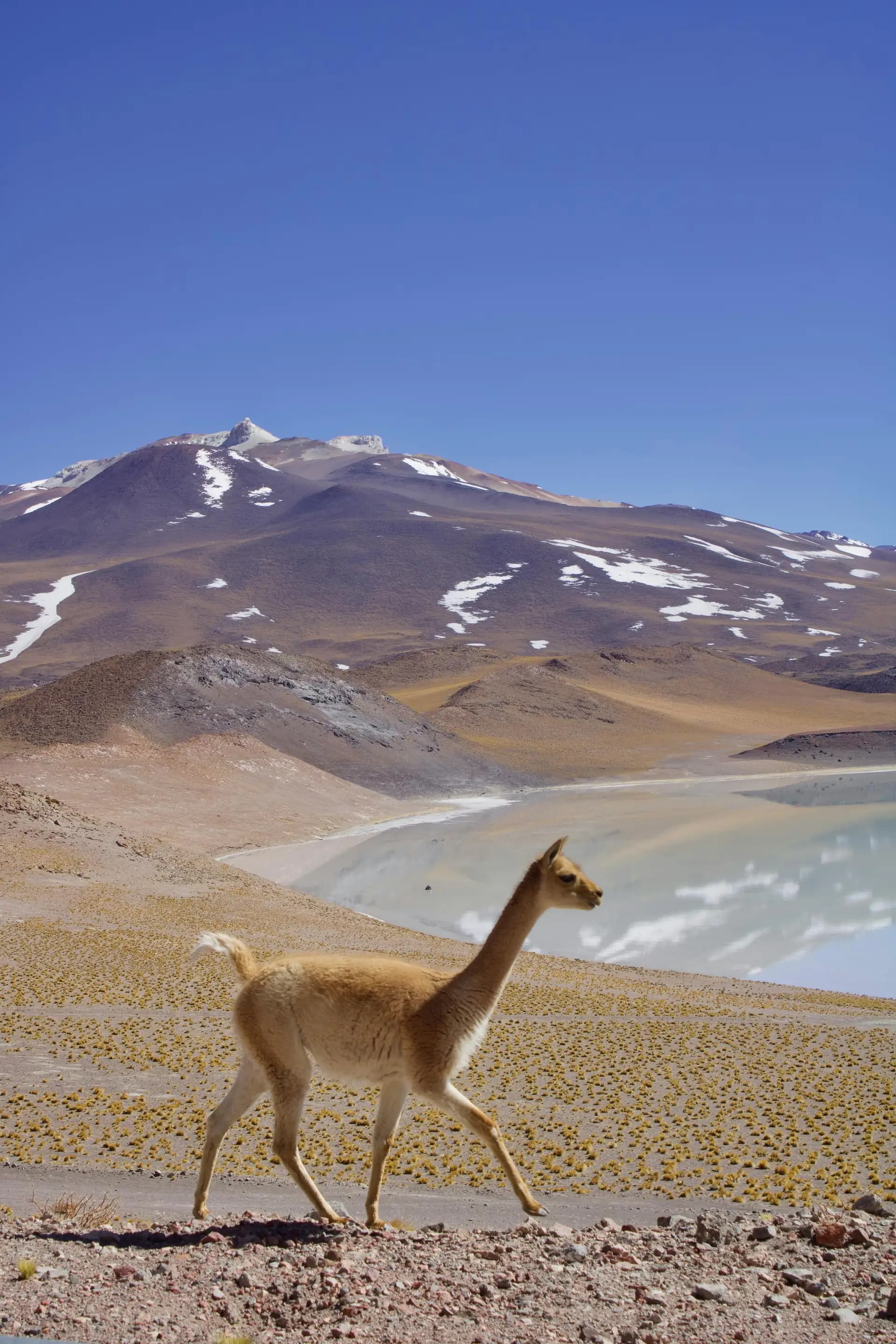 Atacama-Wüste