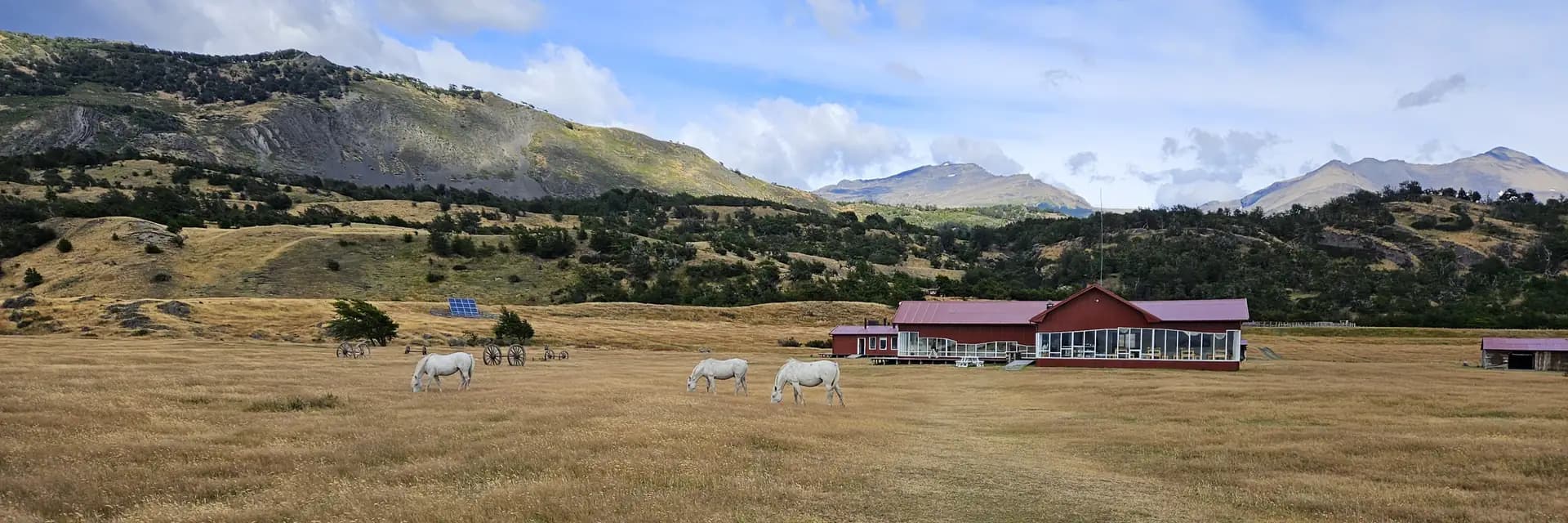 Estancia Experience · Patagonian Life