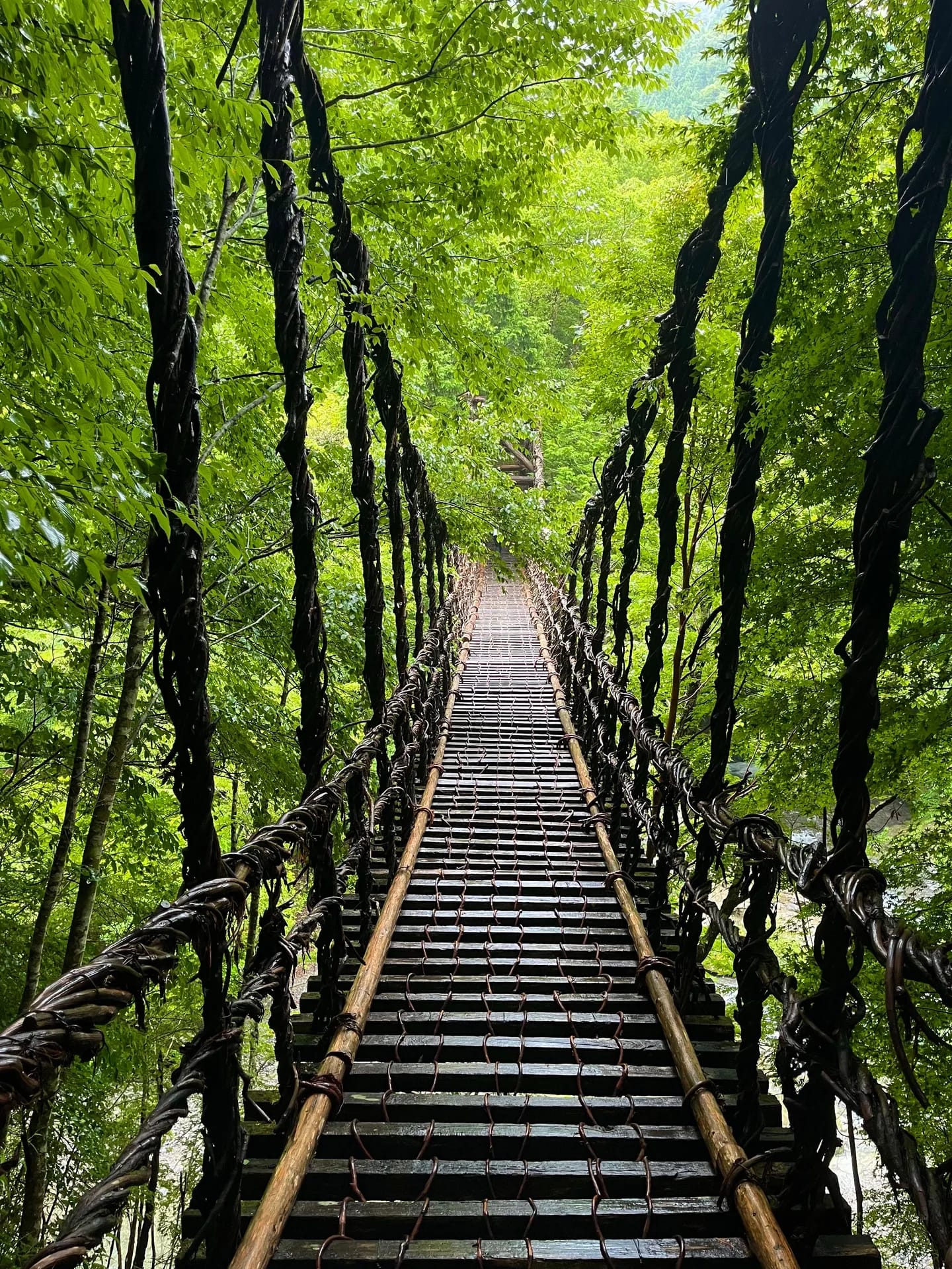 The vine bridge in the Iya Valley