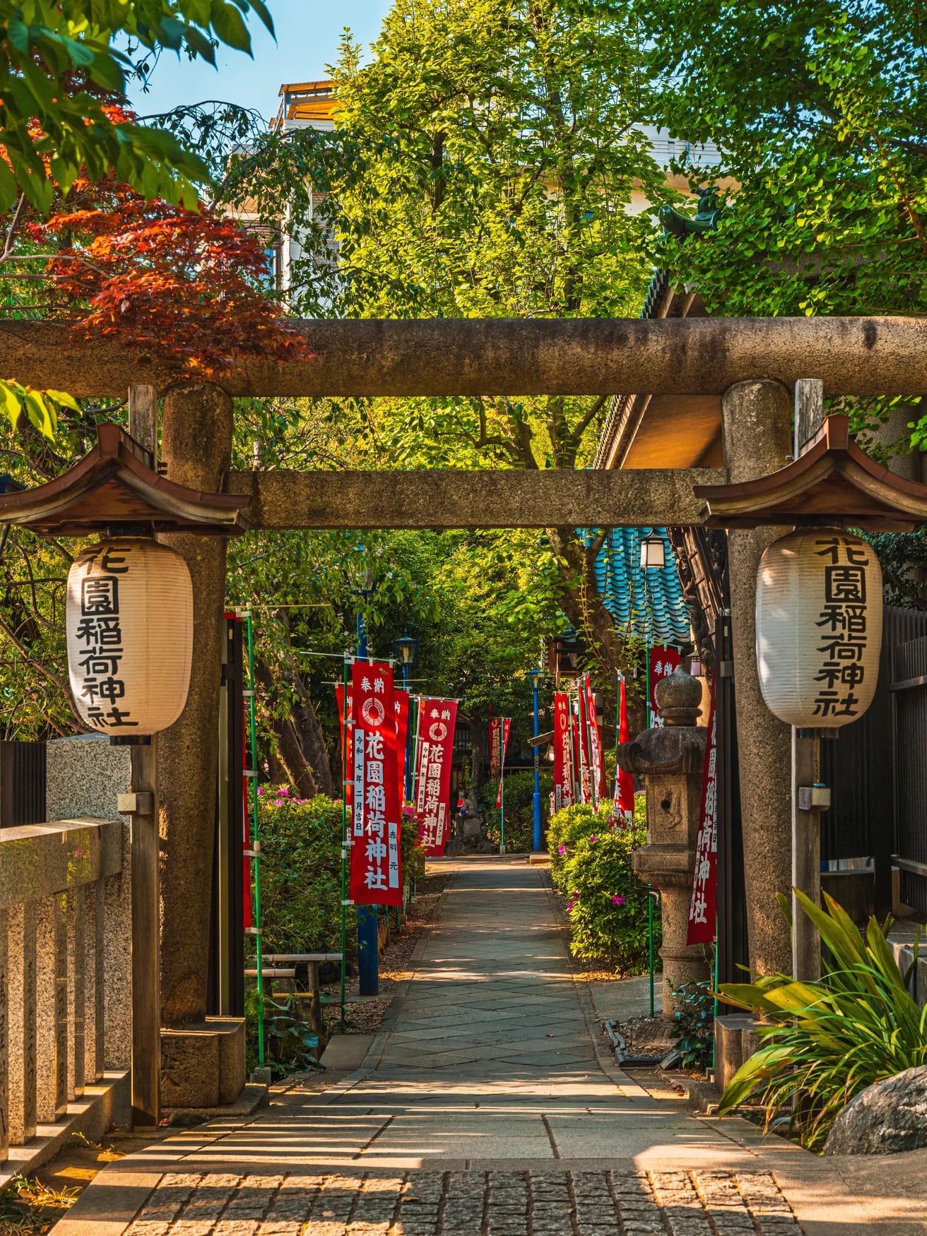 Red torii gates of Fushimi Inari in Kyoto