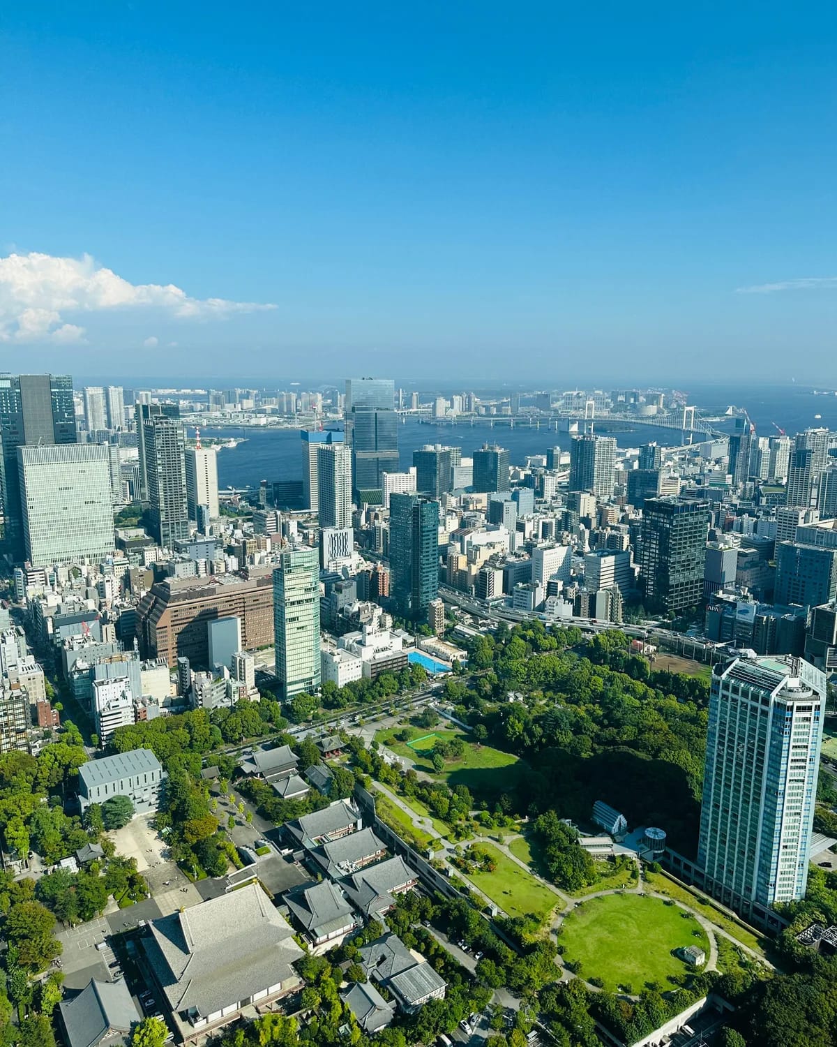 Tokyo aus der Luft mit Bucht und Hochhäusern
