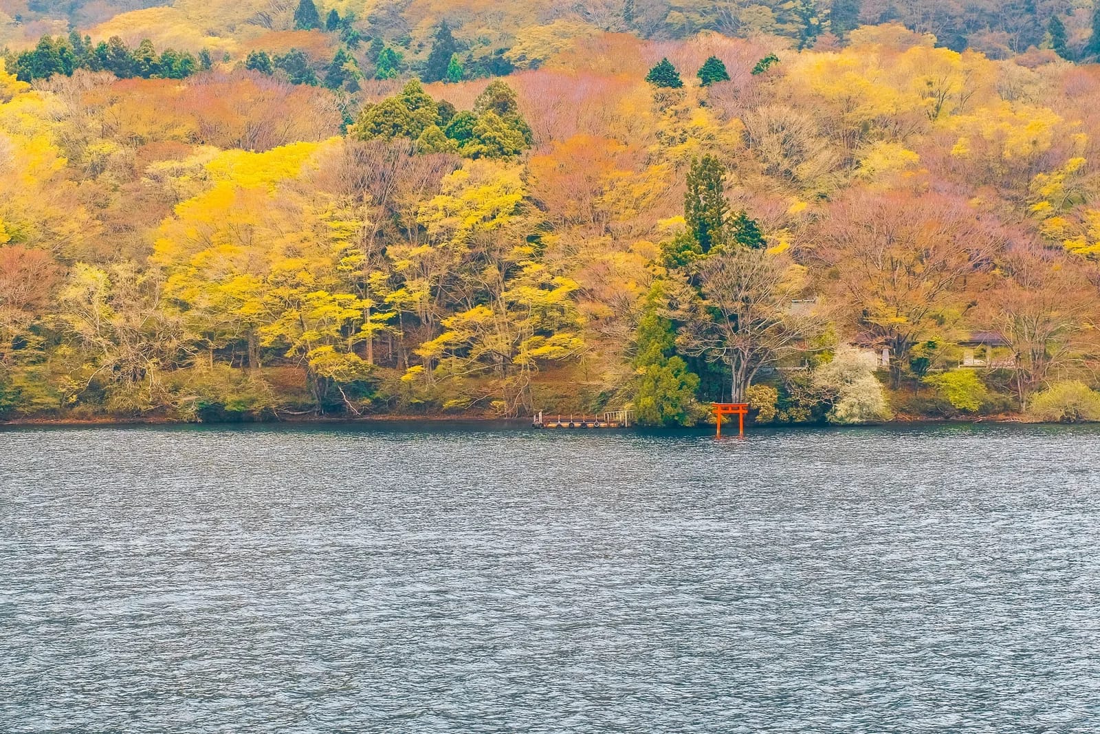 Autumn
