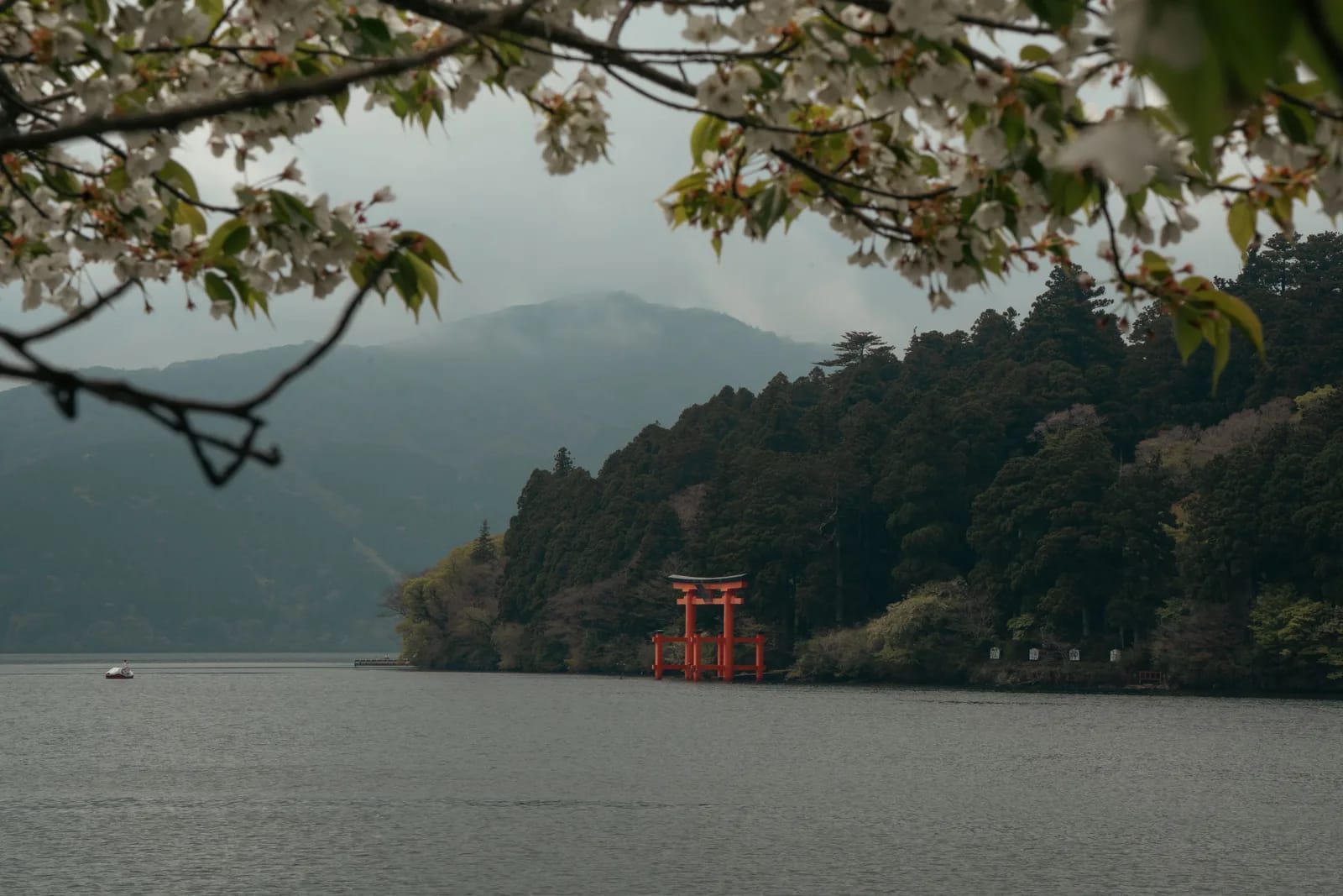The torii before breakfast, Hakone Shrine, Lake Ashi