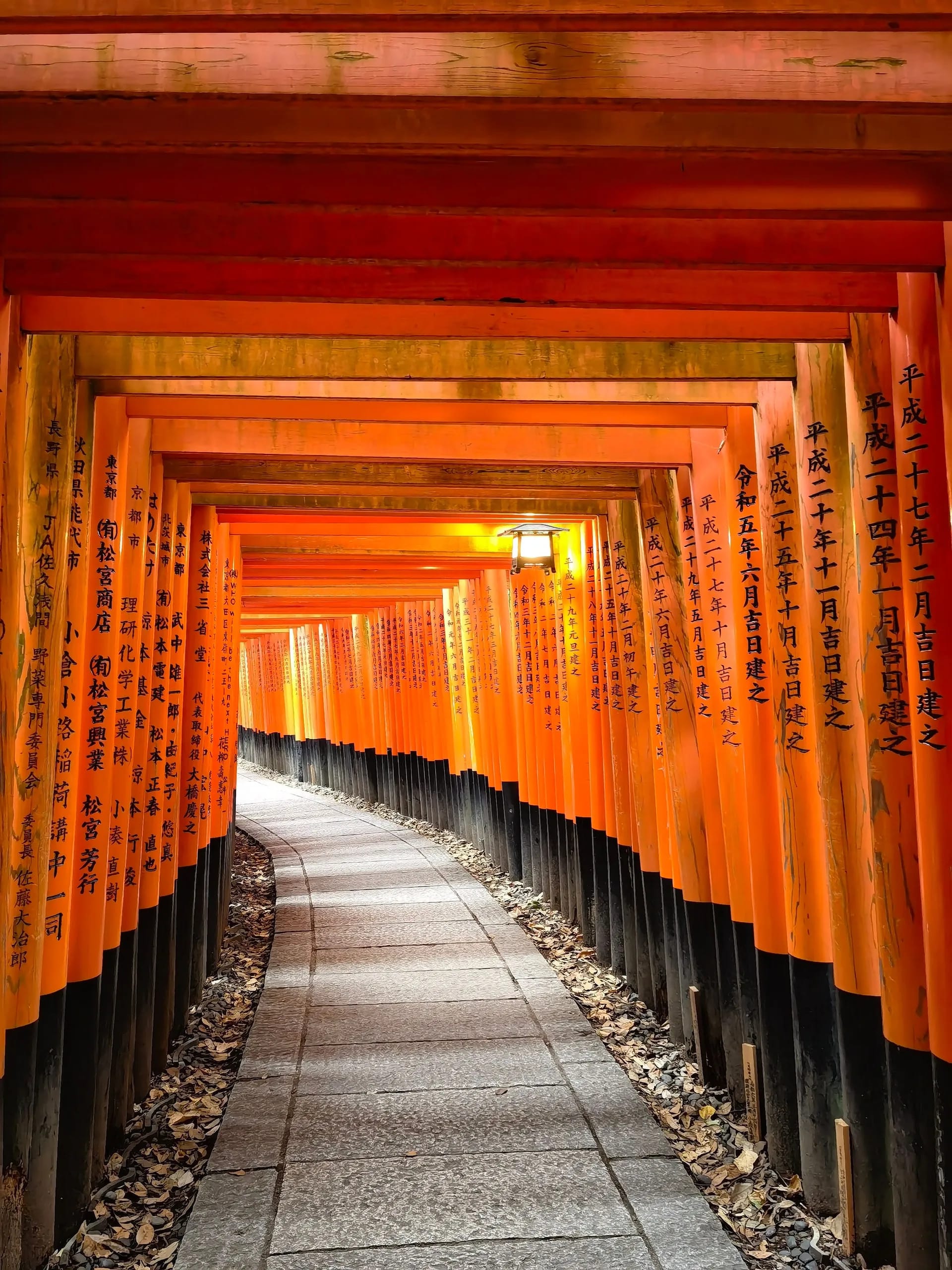 Camino bajo las puertas torii bermellón de Fushimi Inari Taisha en Kioto