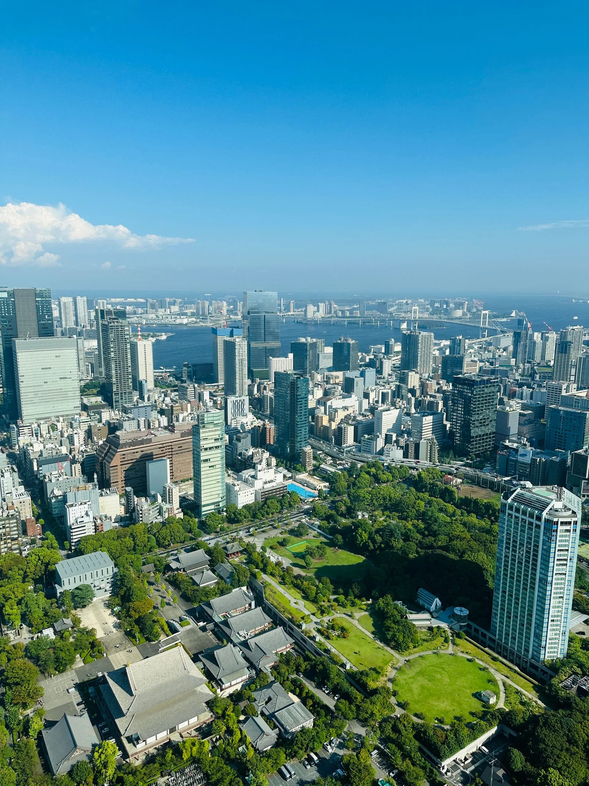 Aerial view of Tokyo by day with dense city blocks