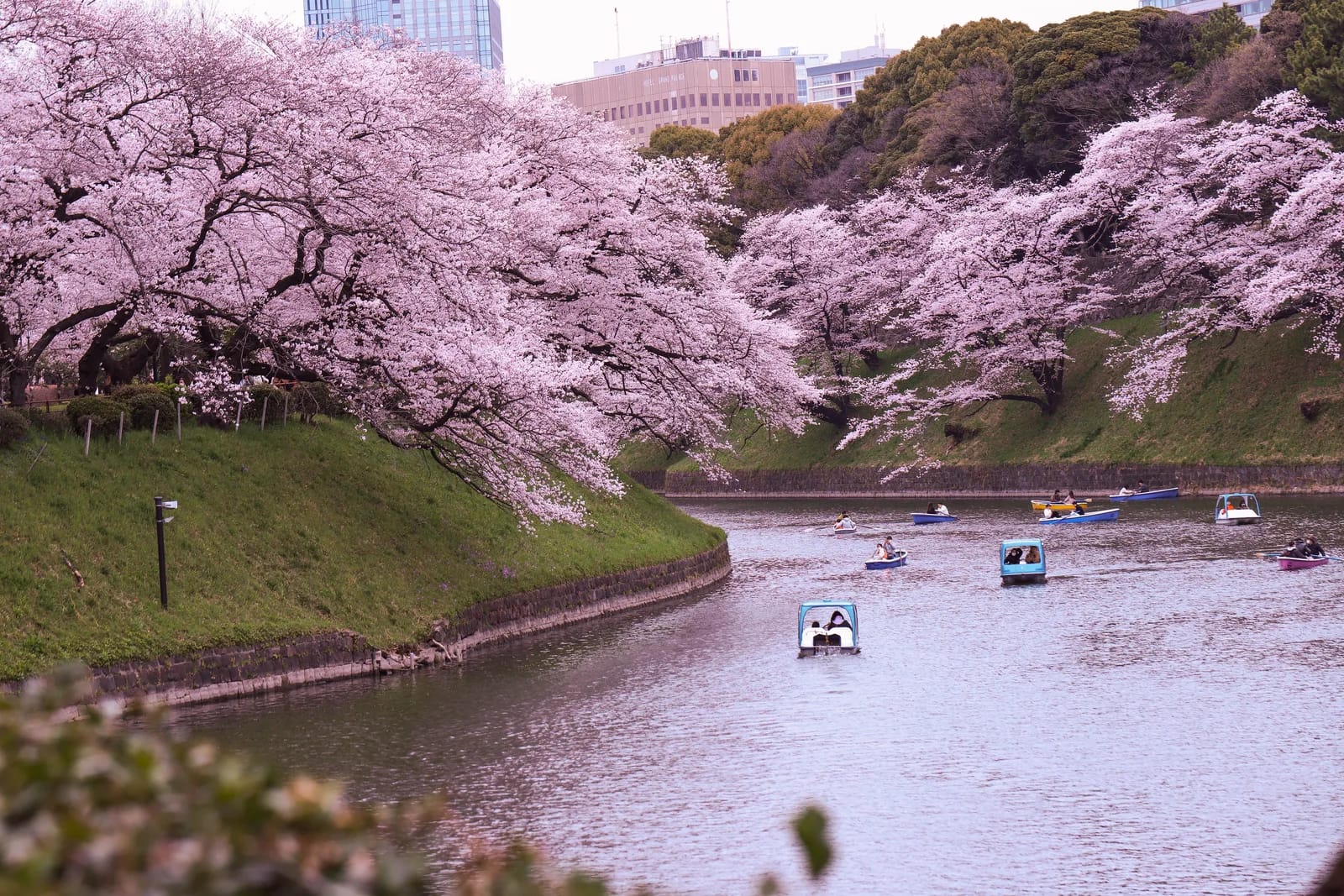 Spring