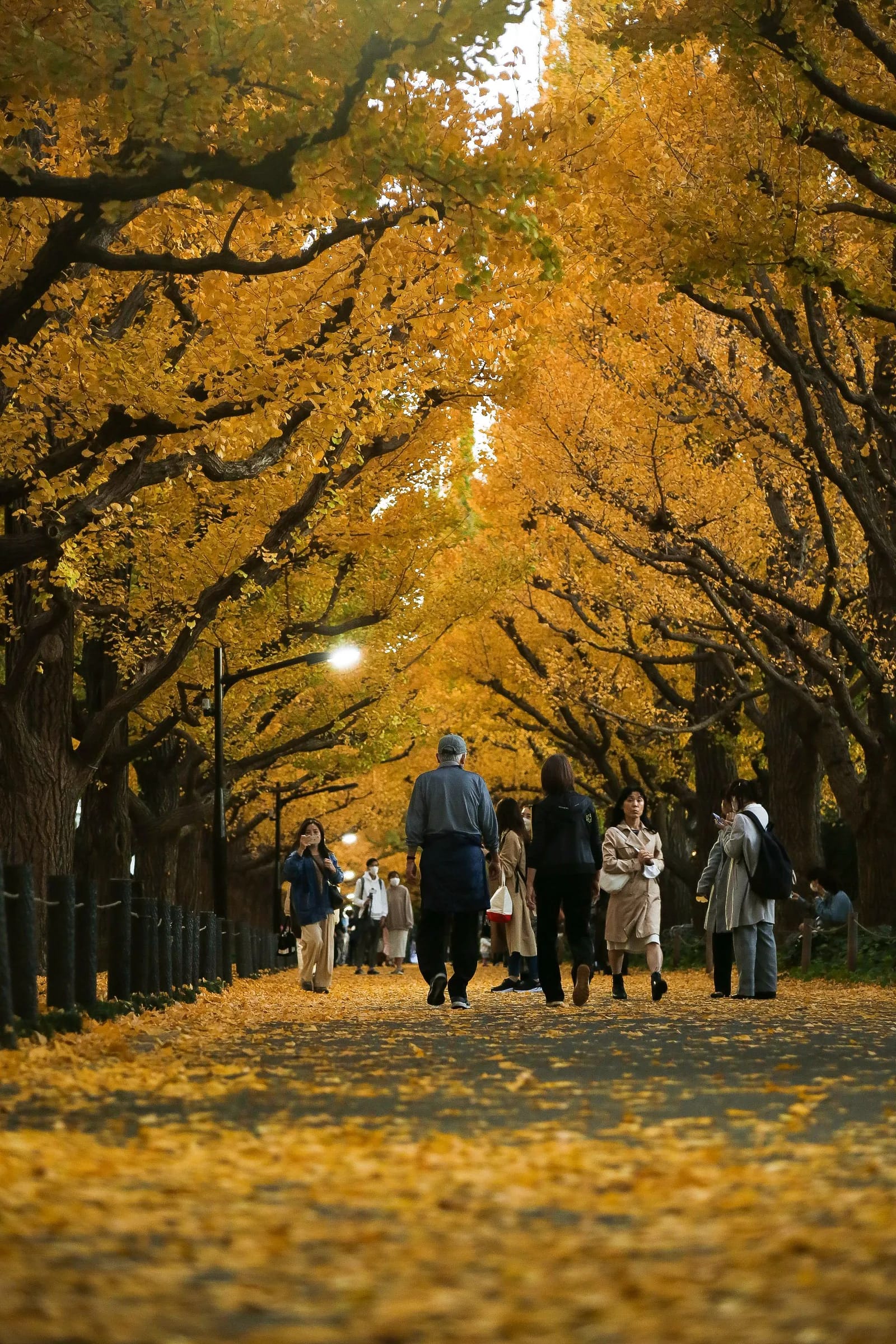 Autumn