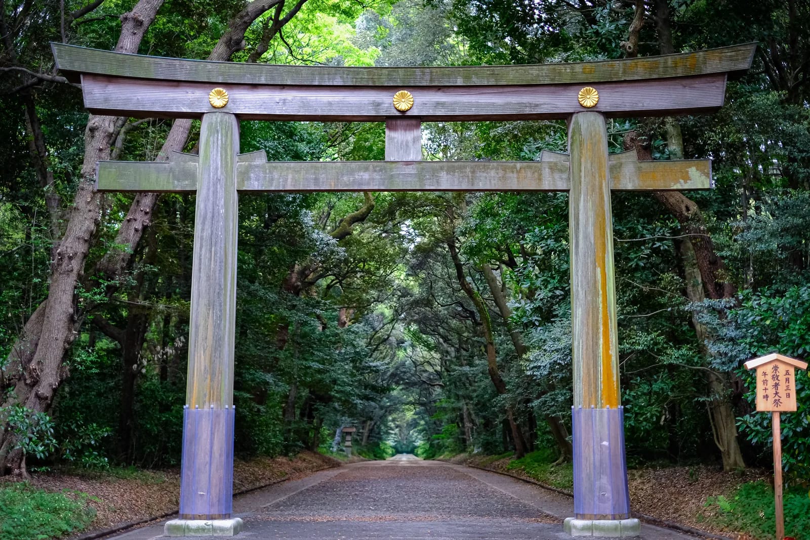 Forest path before the crowds, Meiji Jingu, Shibuya