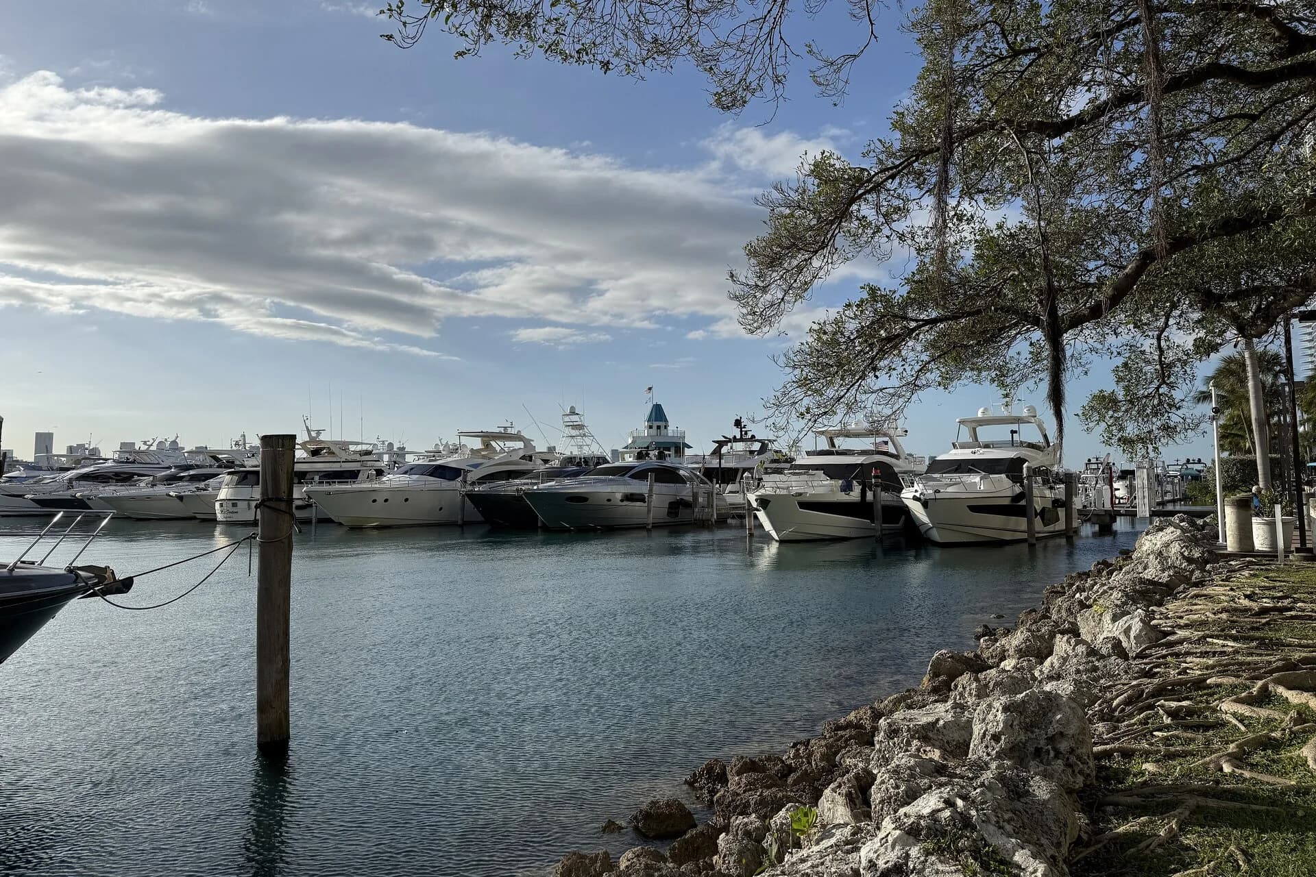 Yachts in the Miami Beach Marina