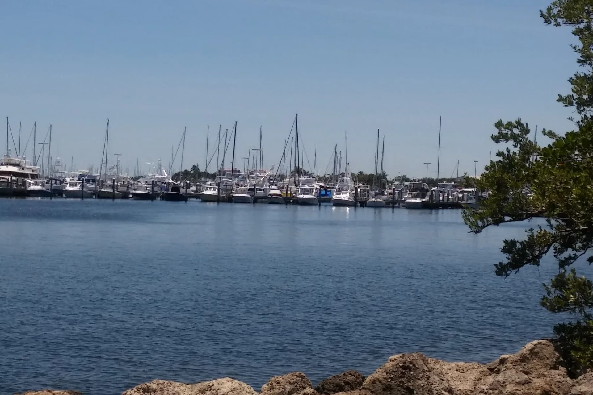 Sailing boats in the bay off Coconut Grove