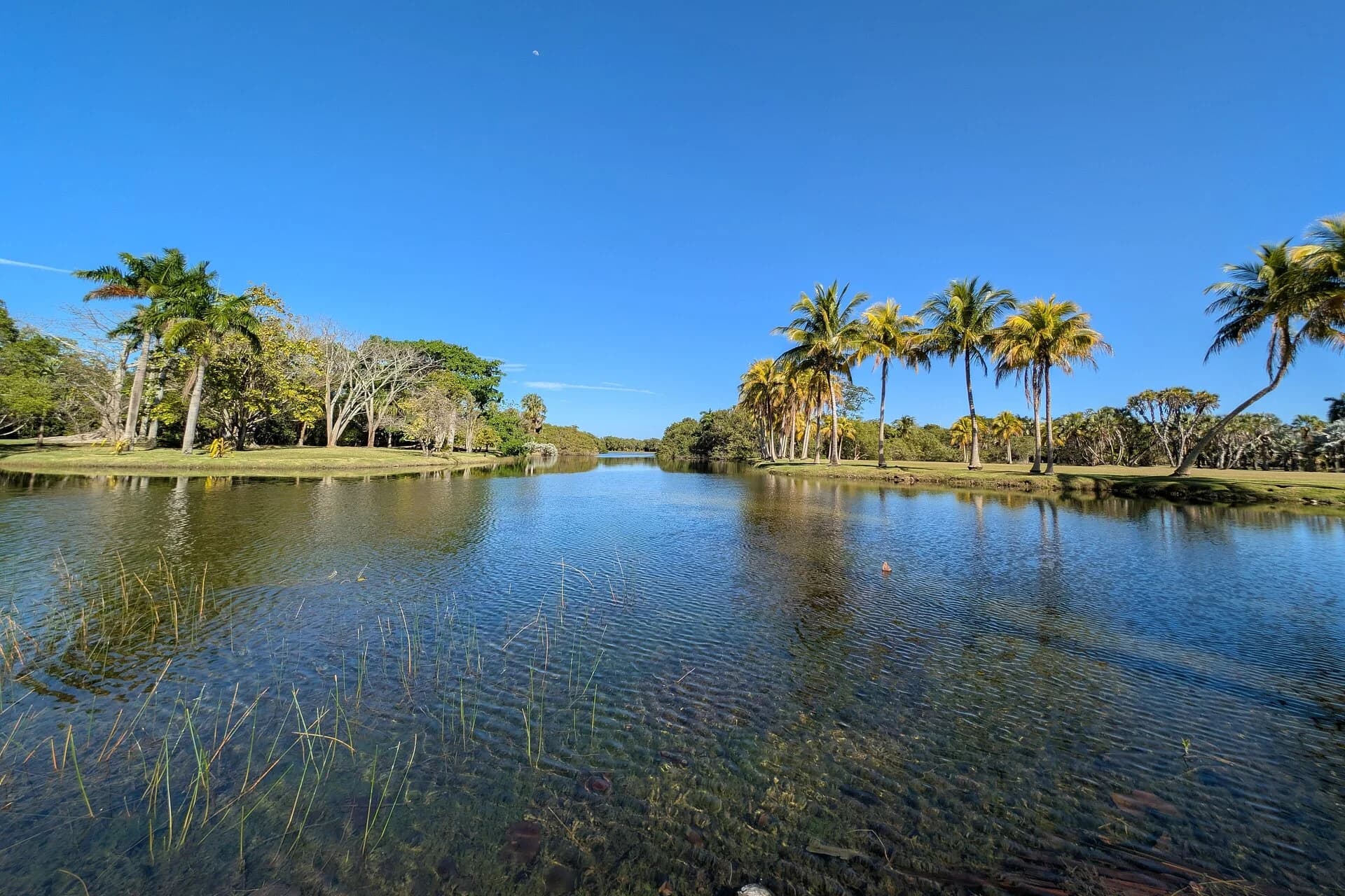 Lake and palms at Fairchild Tropical Botanic Garden