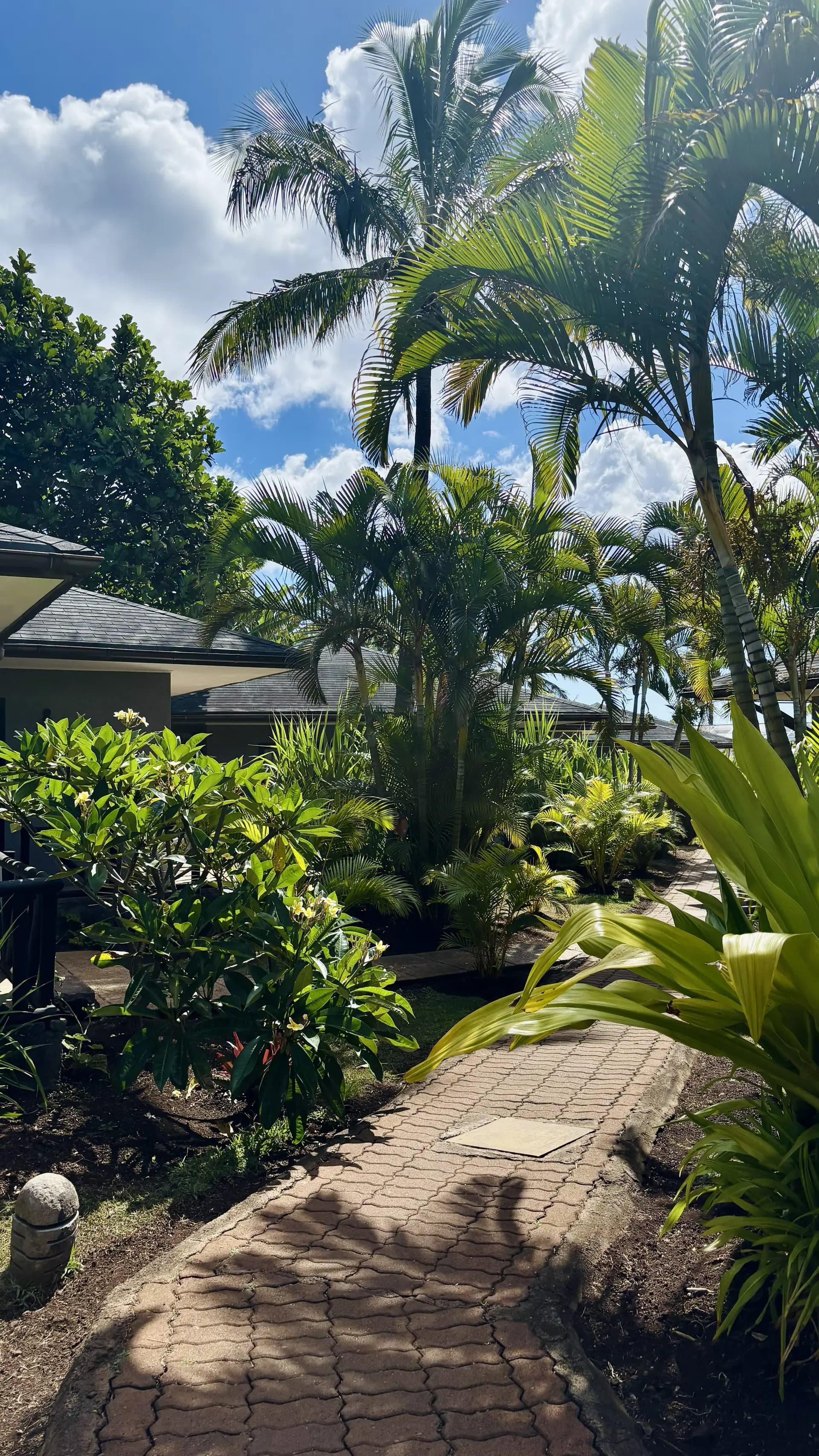 Rapa Nui