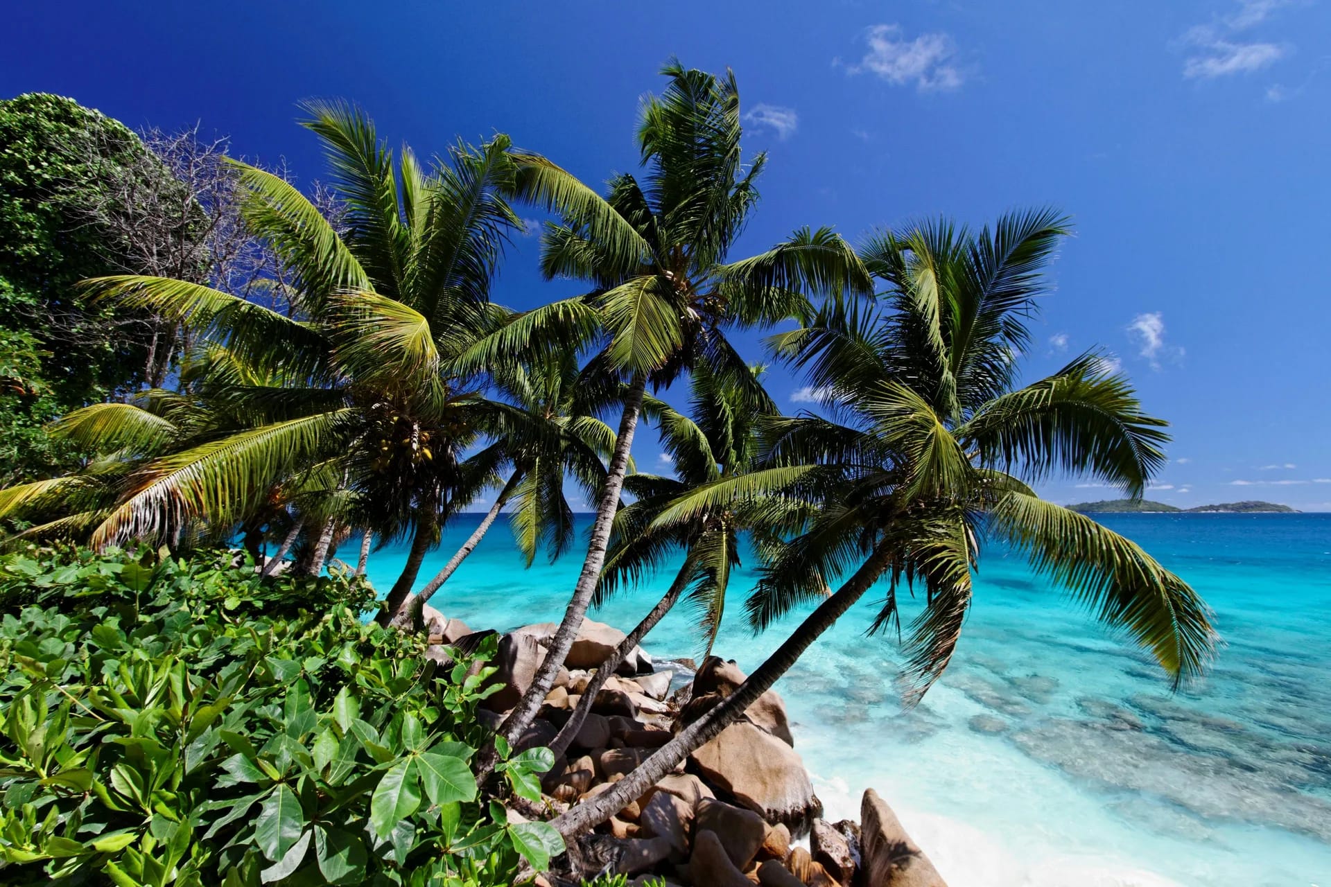 Seychelles travel season