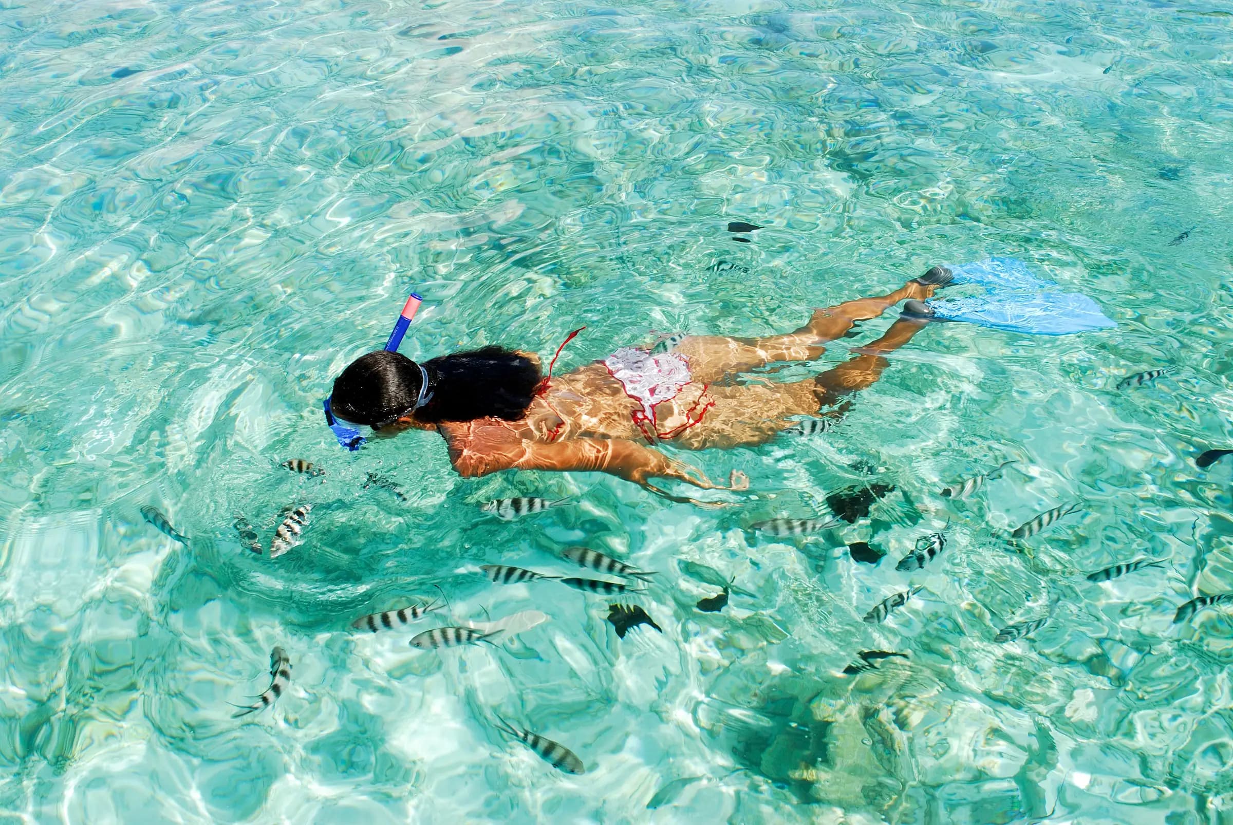 Placeholder – Marine Sanctuary