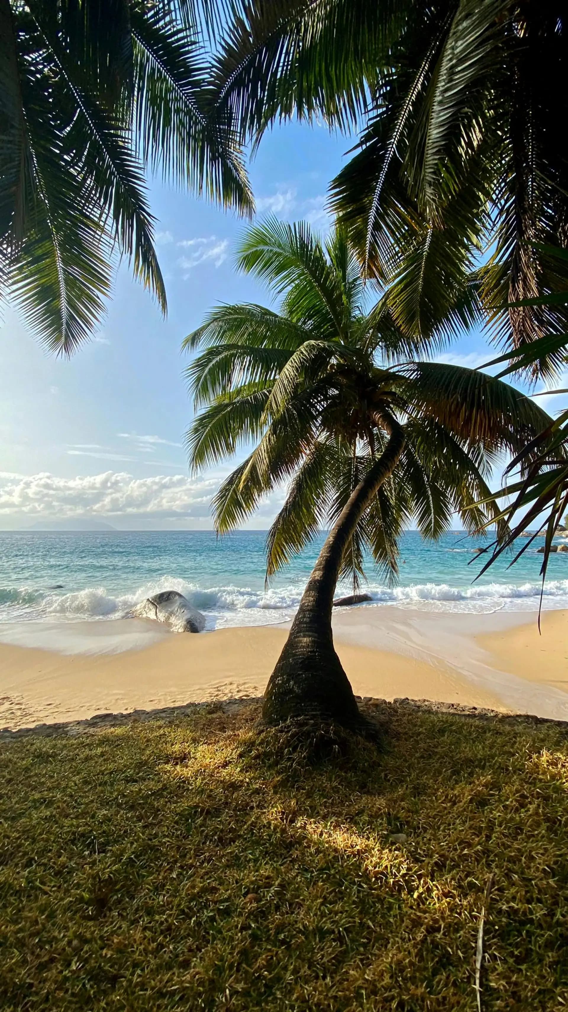 Reisezeit Seychellen