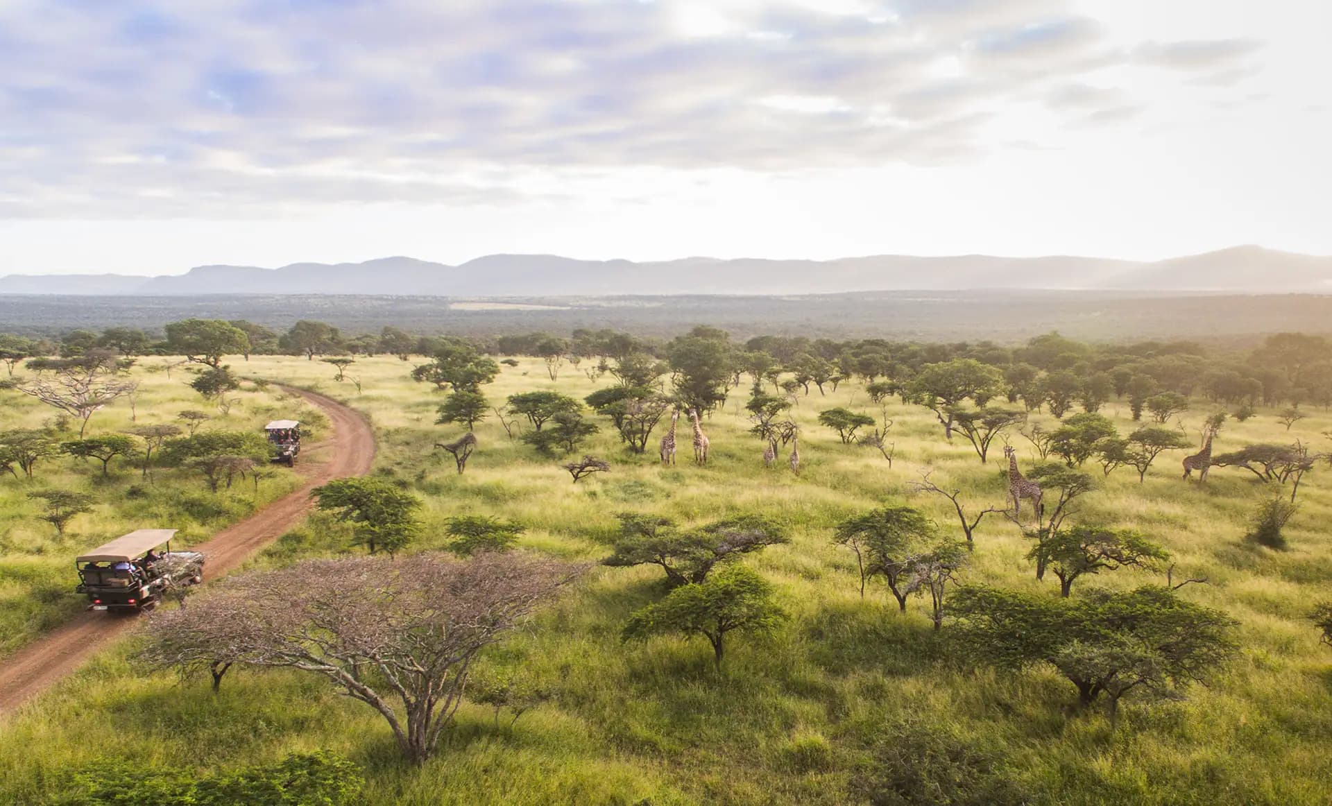 Savanna Expedition – Südafrika