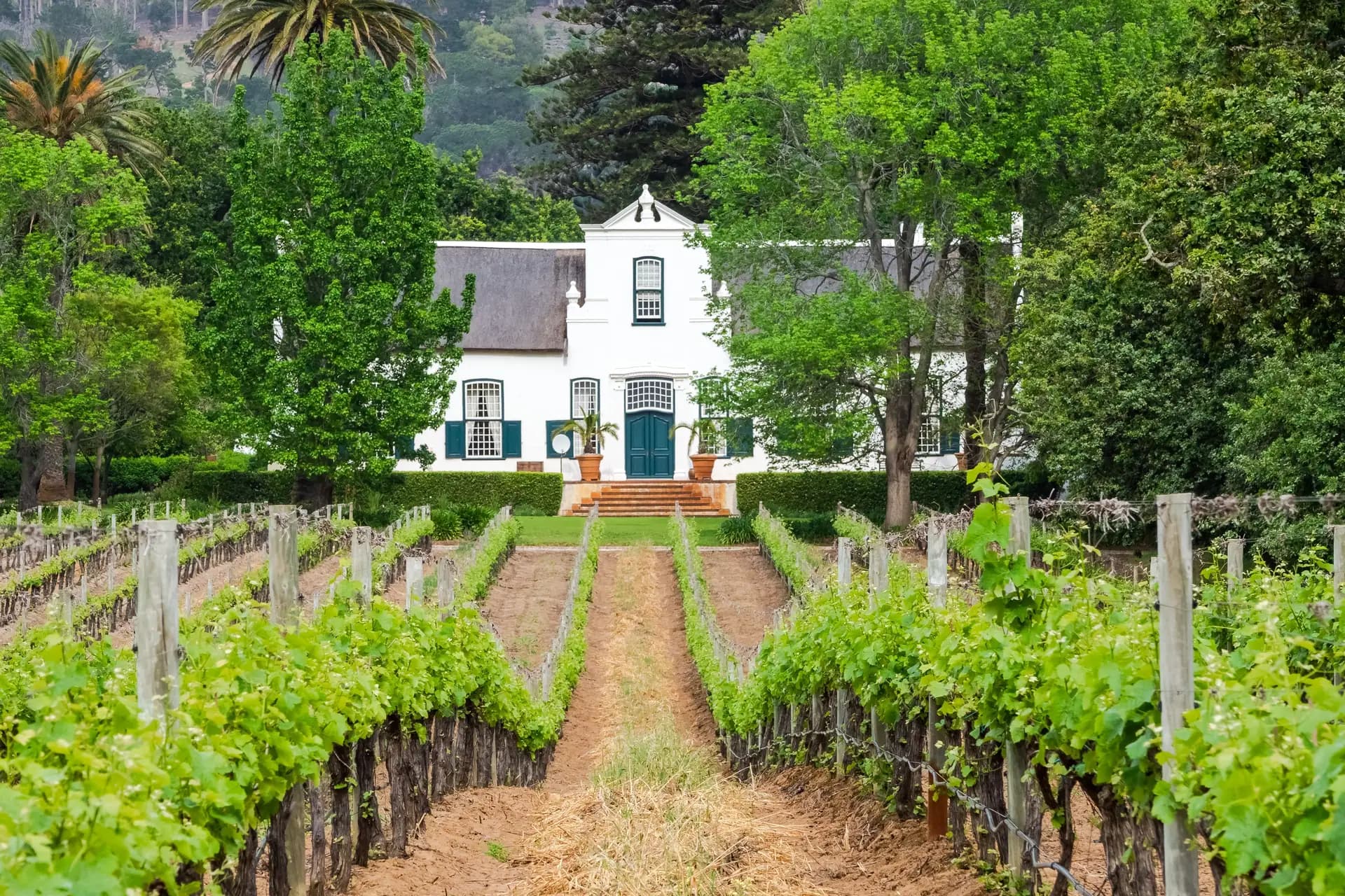 Kapstadt & Winelands